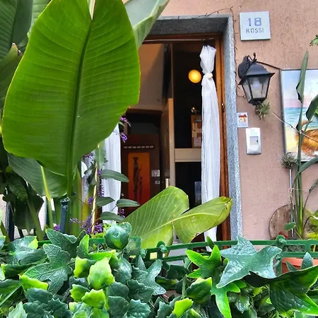 Apartment Ellera Con Parcheggio Privato Stella